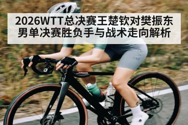 2026WTT总决赛王楚钦对樊振东男单决赛胜负手与战术走向解析